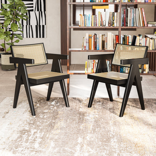 Chandigarh Chair: Is It Better as a Collector’s Piece or for Everyday Use?