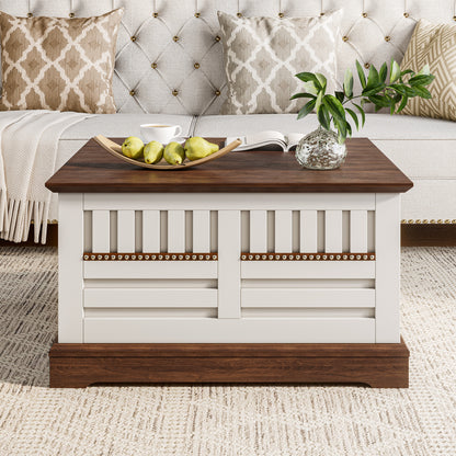 31.5'' Farmhouse Lift Top Coffee Table
