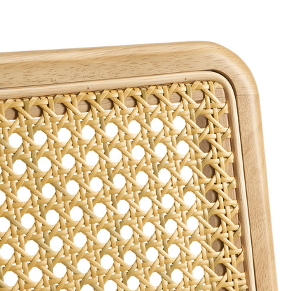 Mid-Century Modern Rattan Leather Dining Chair | Set of 2