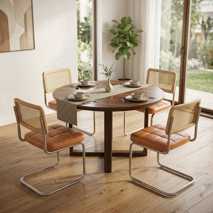 Mid-Century Modern Rattan Leather Dining Chair | Set of 2