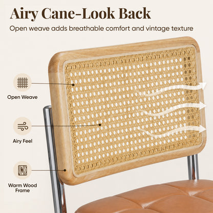 Mid-Century Modern Rattan Leather Dining Chair | Set of 2